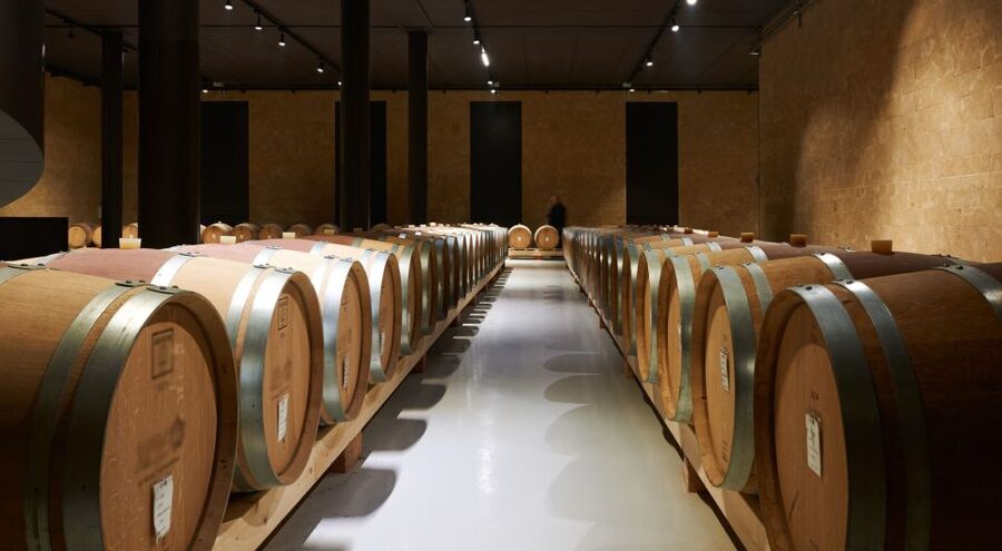 2-hours Amarone Wine Tour with Sommelier Wine Tastings - The sommelier tastings: nine wines, with Amarone at the center