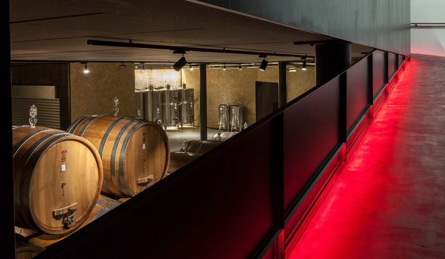 2-hours Amarone Wine Tour with Sommelier Wine Tastings - Price and value: is $113.29 a fair deal?