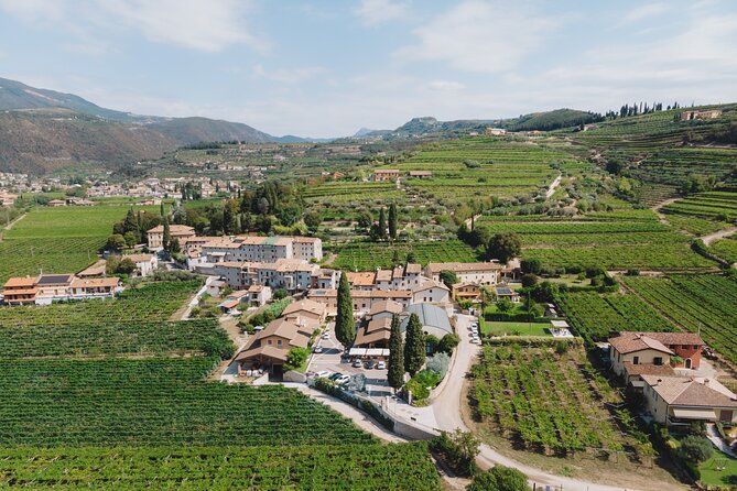 Amarone 2005 Wine Experience - Price and value: what you’re paying for at $42.14