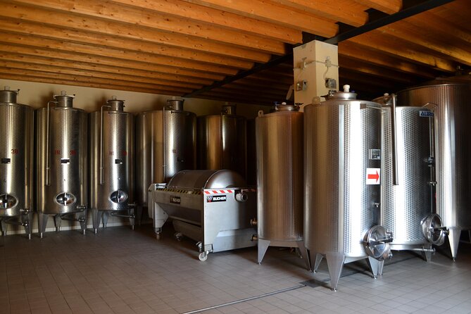 Amarone Della Valpolicella Wine Experience - Meet the Vogadori Family - Valpolicella and Corvina: The Grapes Behind the Area