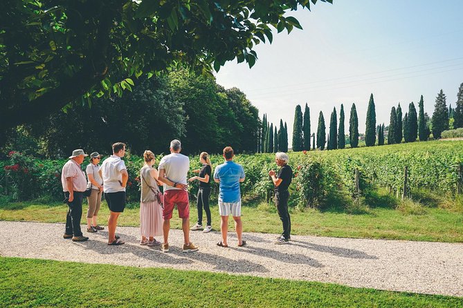 Amarone Wine-tasting Tour from Verona with Private Transportation - What you’ll taste: Amarone, Ripasso, and food pairing that makes sense