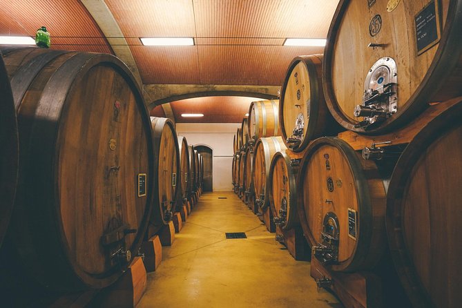 Amarone Wine-tasting Tour from Verona with Private Transportation - Timing and pacing: why 4 hours feels like the right length for Verona visitors