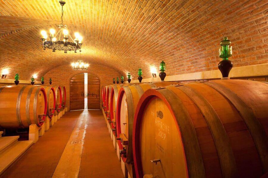 Amarone Wine Tasting Tour. Visit Verona. From Venice - Light lunch: cheese and salami with vegetarian and vegan options
