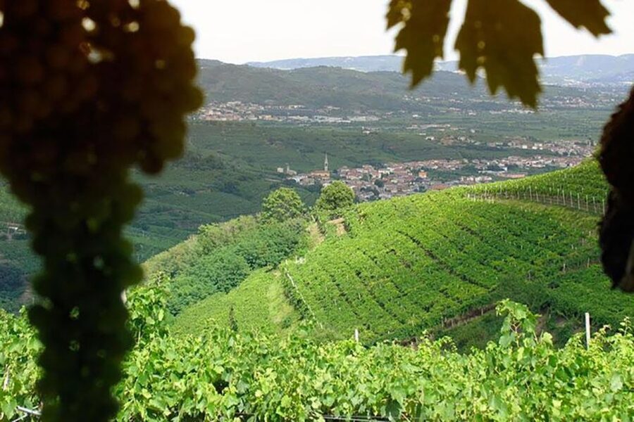 Amarone Wine Tasting Tour. Visit Verona. From Venice - Price and value: what you’re paying for (and what you’re not)