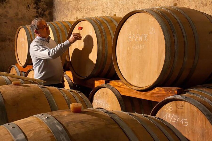 Amarone Wine Tasting Tour. Visit Verona. From Venice - Who should book this Amarone-style day trip