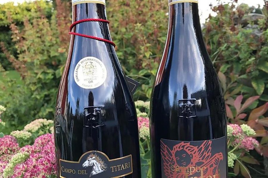 Amarone Wine Tasting Tour. Visit Verona. From Venice - Piazza Bra to Piazza delle Erbe: Verona’s highlights, walked with a guide
