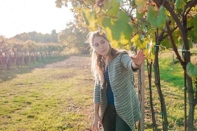 Amarone Wine Tour - Key highlights worth your attention