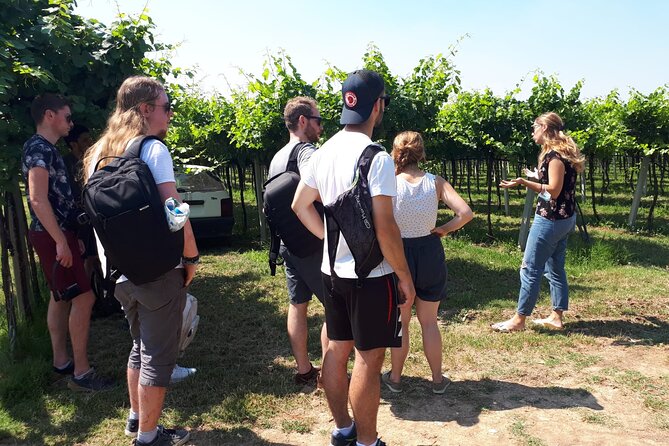 Amarone Wine Tour - The fruit cellar, then the “how it matures” spaces