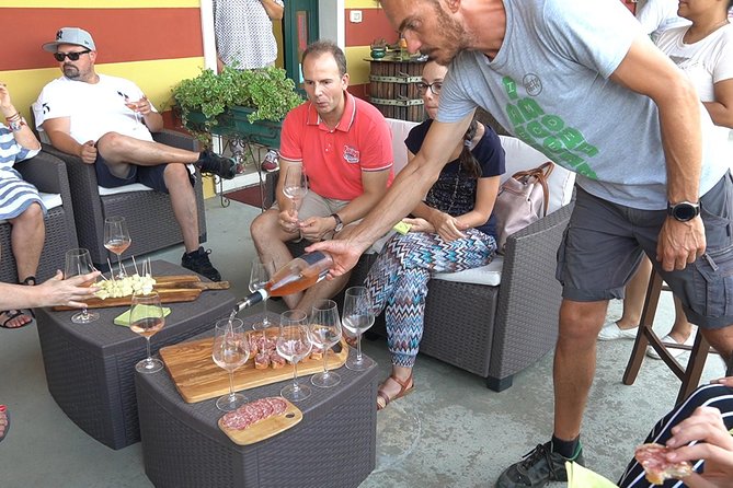Art Experience with Food and Wine Tasting in Lazise - What to Expect at Azienda Agricola Le Ginestre