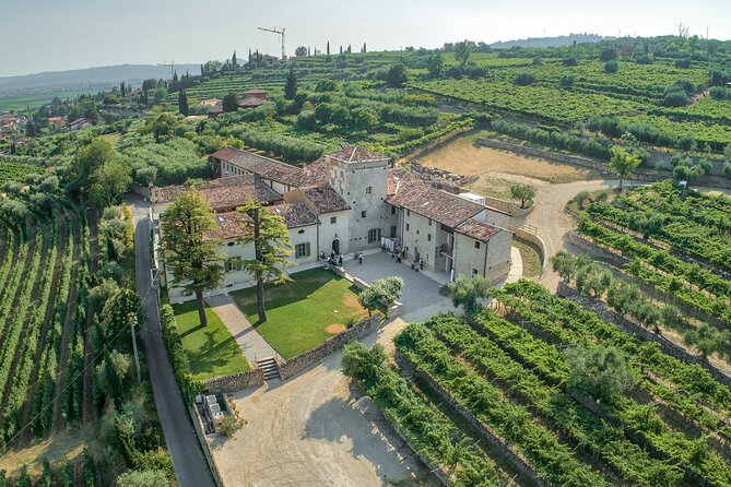 Art & Wine Experience in Valpolicella at Palazzo Montanari - Key highlights you can count on