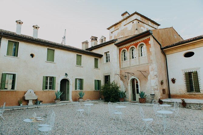 Art & Wine Experience in Valpolicella at Palazzo Montanari - Wine tasting that teaches you how to compare four reds