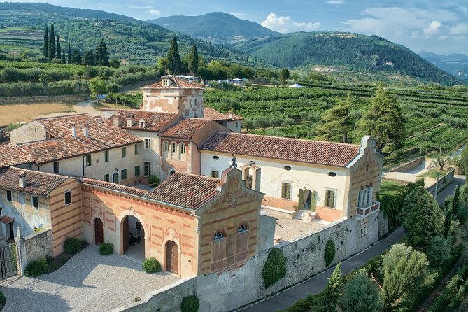 Art & Wine Experience in Valpolicella at Palazzo Montanari - Olive oil tasting: the palate reset you’ll be glad is included
