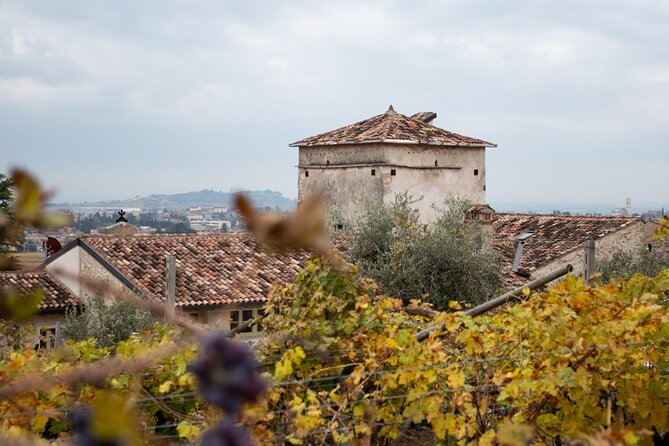 Art & Wine Experience in Valpolicella at Palazzo Montanari - The flow of the 1.5-hour private tour (and what it means for you)