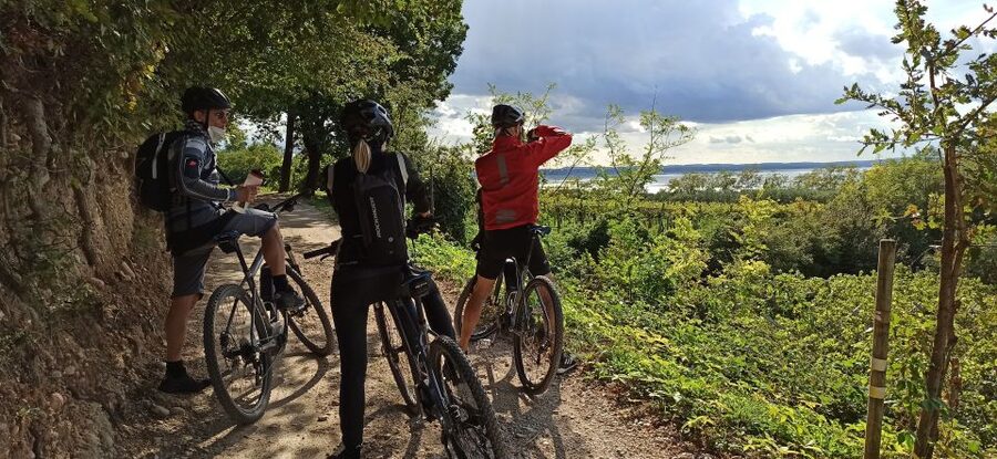 Bardolino: e-bike tour and wine tasting on the hills - Key Highlights You’ll Actually Feel