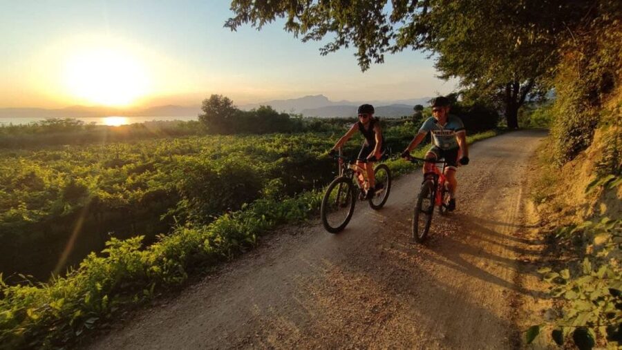 Bardolino: e-bike tour and wine tasting on the hills - Bardolino Hills by E-Bike: The Best Kind of Workout