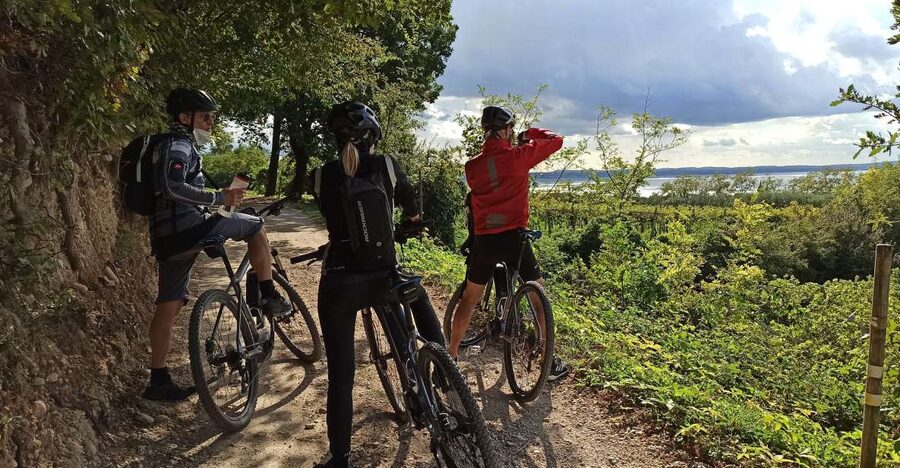 Bardolino: e-bike tour and wine tasting on the hills - The Ride to Cavaion Veronese: Vineyards, Olive Groves, and Quiet Roads