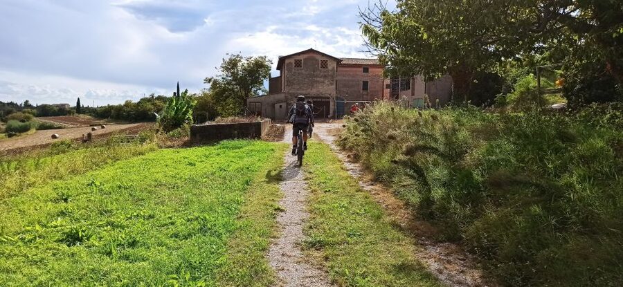 Bardolino: e-bike tour and wine tasting on the hills - Affi Cycle Path: How the Route Feels Different on Purpose