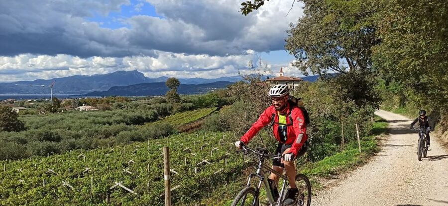 Bardolino: e-bike tour and wine tasting on the hills - The Cellar Stop: Three Wines, Local Food, and a Sustainability Story