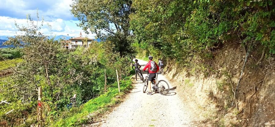Bardolino: e-bike tour and wine tasting on the hills - Where You Start: Cantina Valetti and the Easy Parking Win