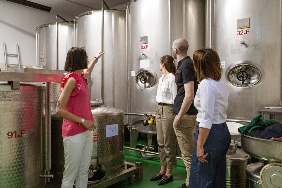 Bardolino: Lake Garda Oil Mill Tour with Olive Oil Tasting - Inside the mill: what you’ll actually see and learn