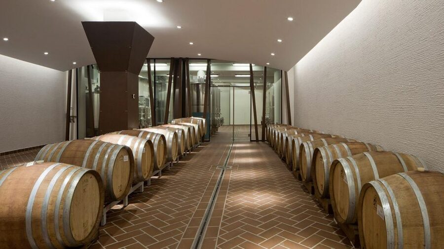Bardolino: tasting of 6 White and Rosè wines with Lake view - Entering a renovated Bardolino family winery (and why it matters)