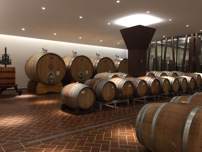 Bardolino: tasting of 6 White and Rosè wines with Lake view - Should you book the Bardolino lake-view wine tasting?