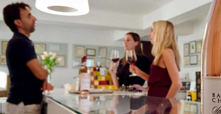 Bardolino: tasting of 6 White and Rosè wines with Lake view - The panoramic terrace welcome drink over Lake Garda