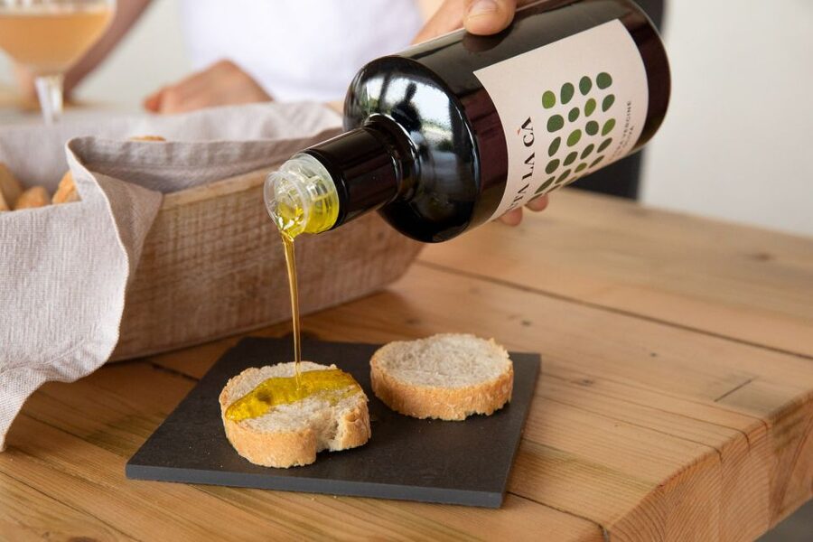 Bardolino: Vineyard Tour with Wine and Food Tasting - Four Wines, One Bardolino Story: DOC and IGT Explained in Plain Terms