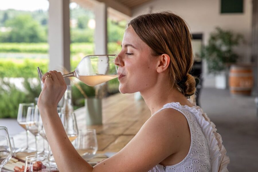 Bardolino: Vineyard Tour with Wine and Food Tasting - The Food Pairing: Cold Cuts, Monte Veronese, and Local Soppressa