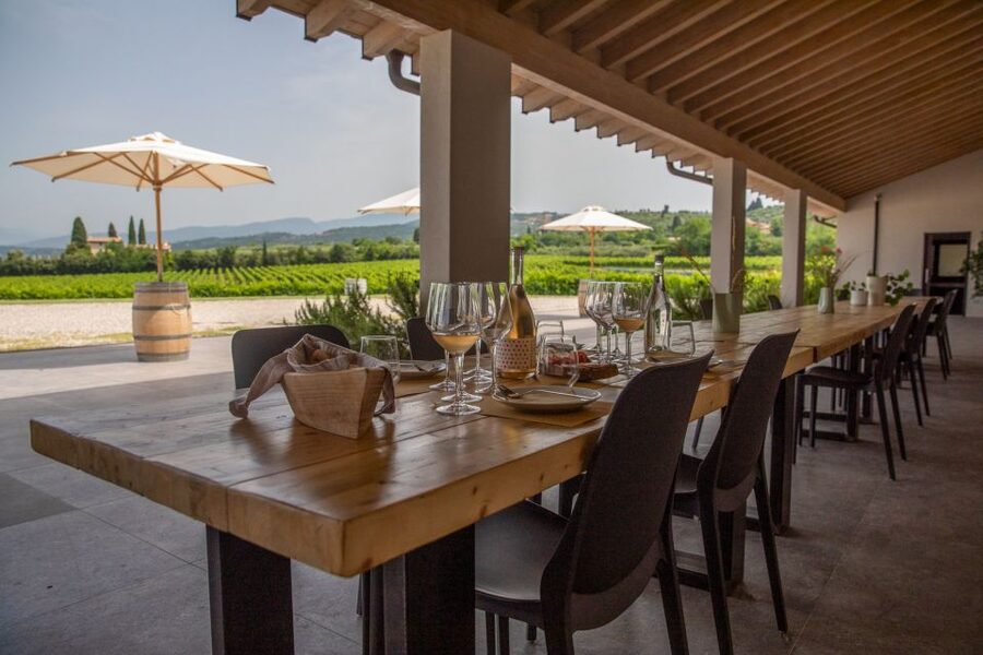 Bardolino: Vineyard Tour with Wine and Food Tasting - Price and Value: What $53 Buys You in Real Terms