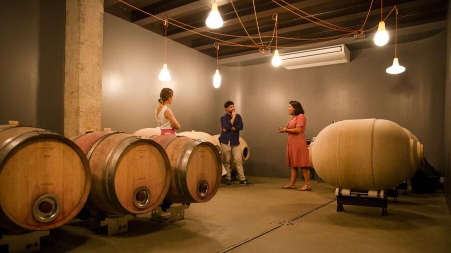 Bardolino: Vineyard Tour with Wine and Food Tasting - Getting There, Parking, and the Walking Factor