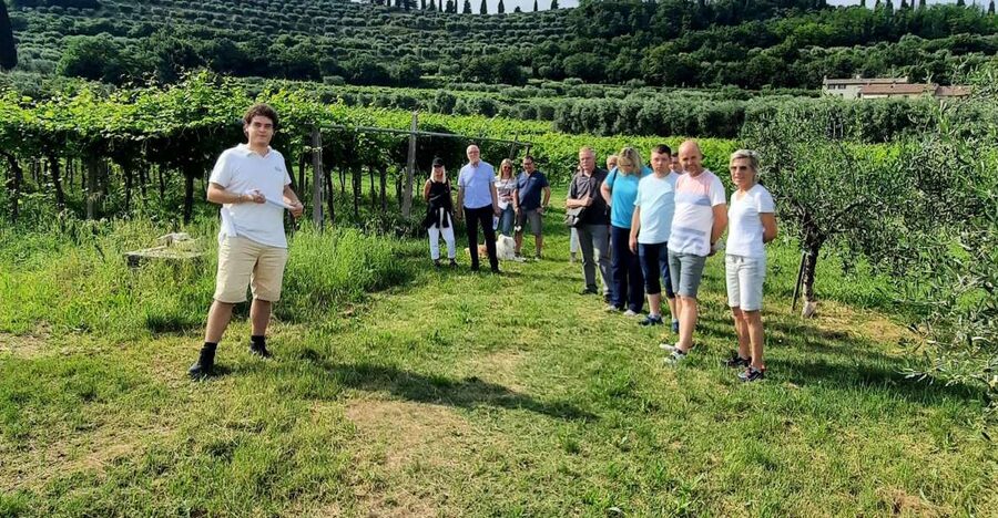 Bardolino: Vineyard Tour with Wine, Olive Oil & Food Tasting - Key things that make this tour worth your time