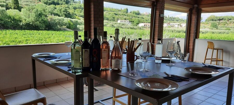 Bardolino: Vineyard Tour with Wine, Olive Oil & Food Tasting - Where Agriturismo La Rocca fits into your Lake Garda day
