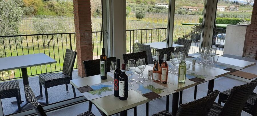 Bardolino: Vineyard Tour with Wine, Olive Oil & Food Tasting - Production stories that actually help your palate