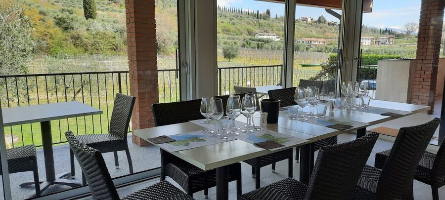 Bardolino: Vineyard Tour with Wine, Olive Oil & Food Tasting - Price and value: is $42 for 2 hours a fair deal?