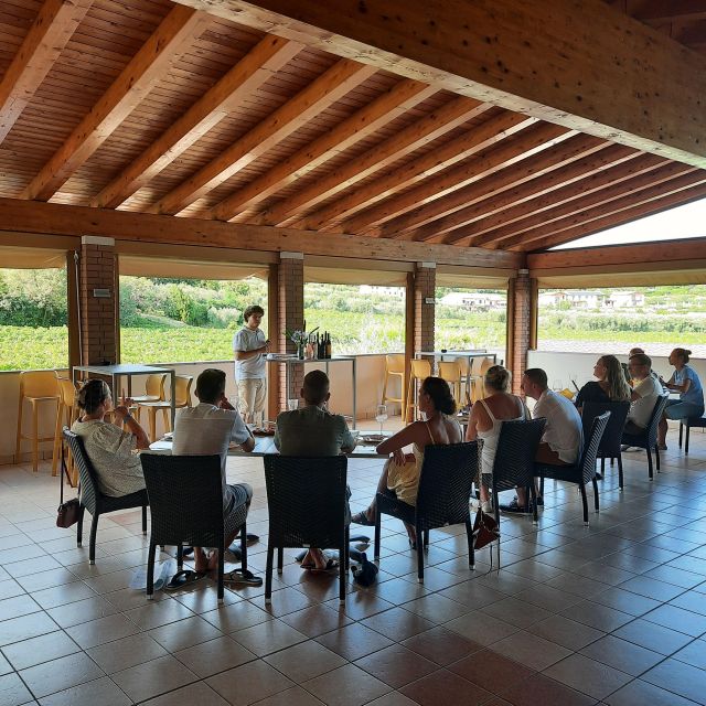 Bardolino: Vineyard Tour with Wine, Olive Oil & Food Tasting - The vineyard walk: Bardolino DOC explained with grape logic