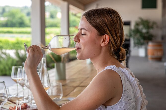 Bardolino Wine Experience - 6 key highlights that make this Bardolino wine visit worth it