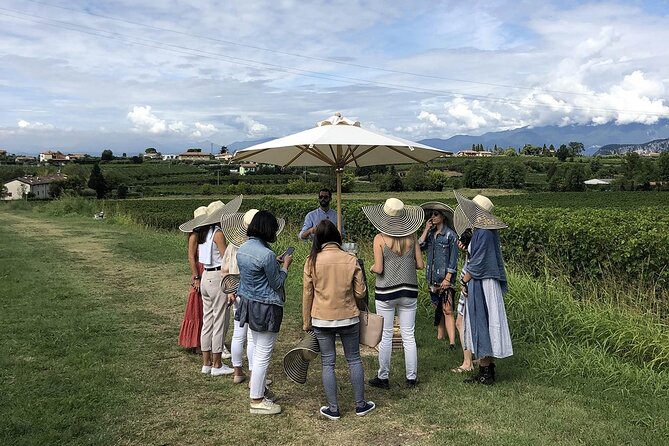 Bardolino Wine Experience - Stops beyond the cellar: Bardolino and Lake Garda moments