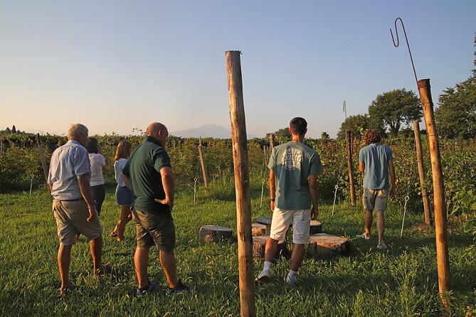 Beekeeping Farm Tour and Tasting Experience in Lazise - Apicoltura Morati and the hives: what you’ll actually learn about honey