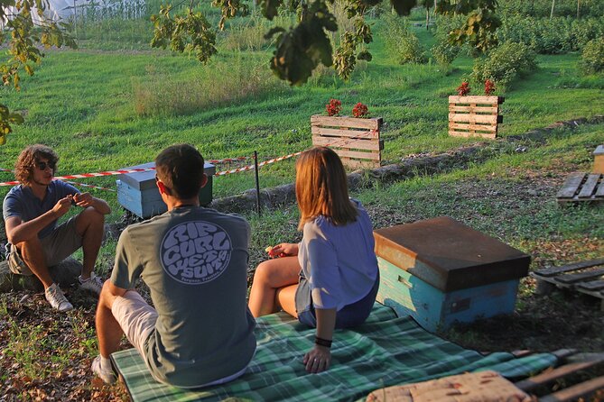 Beekeeping Farm Tour and Tasting Experience in Lazise - Colà, Lazise, and Villa Dei Cedri: seeing the countryside without rushing