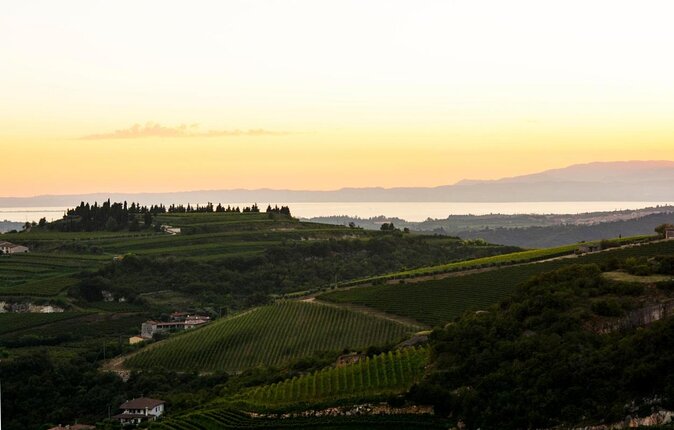 Bike Station Valpolicella: E-bike tour & Amarone Tasting - Key highlights worth planning for