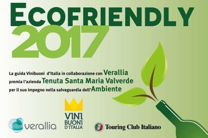 Bike Station Valpolicella: E-bike tour & Amarone Tasting - What to expect from timing and pacing
