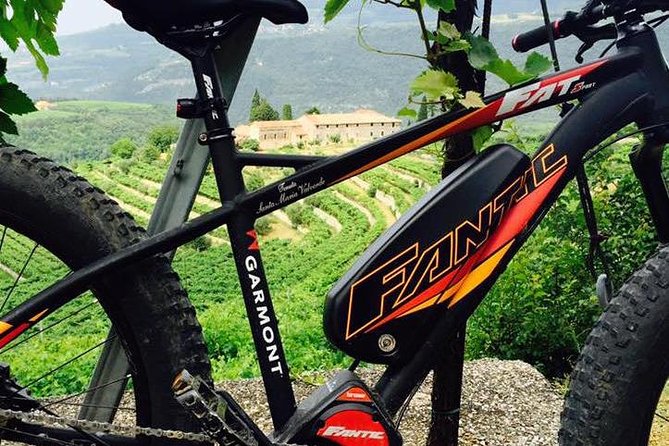 Bike Station Valpolicella: E-bike tour & Amarone Tasting - Price and value: $131.81 for bike + winemaker tasting + lunch