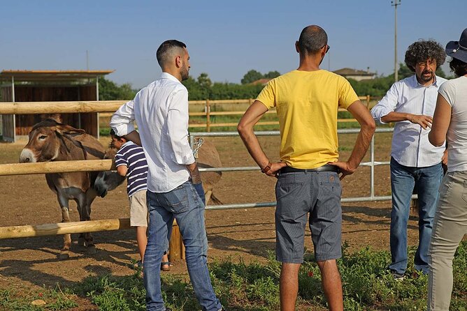 Biodynamic Farm and Natural Wines Tasting in Lazise - Key Things I’d Plan Around