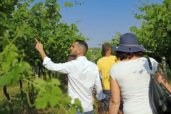 Biodynamic Farm and Natural Wines Tasting in Lazise - Biodynamic Farming and Natural Wine in Lazise: The Big Idea