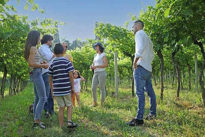 Biodynamic Farm and Natural Wines Tasting in Lazise - The Food Pairing: Veronese Cold Cuts, Cheeses, and Bread