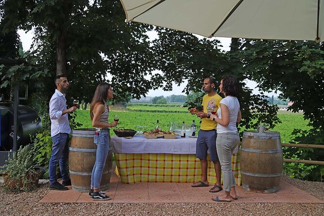Biodynamic Farm and Natural Wines Tasting in Lazise - What Makes This Tour Feel Worth $50.47
