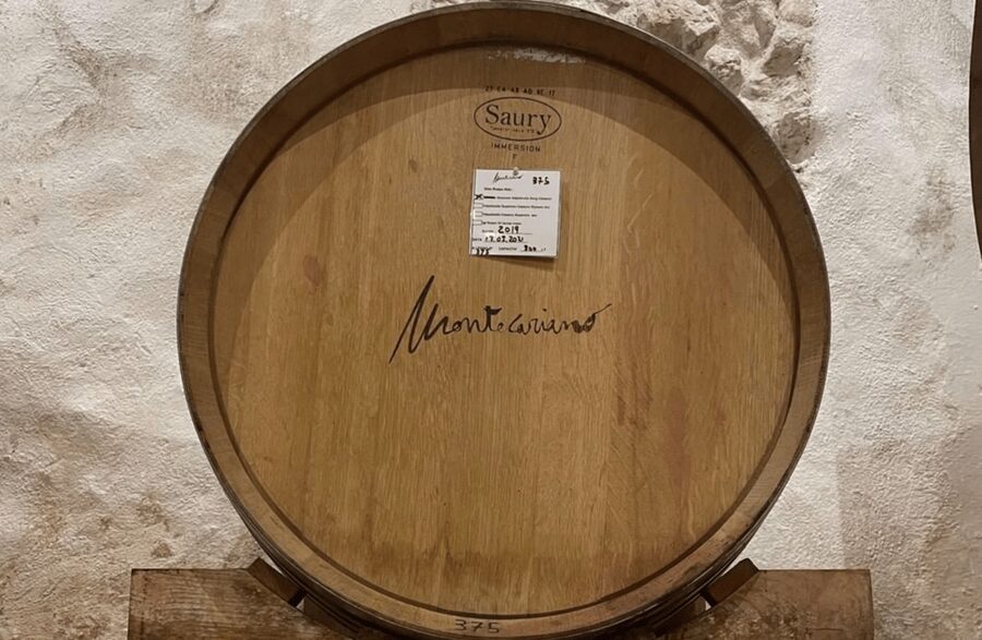 Boutique Winery Tour & Tasting in Valpolicella - A bonus cultural stop: Renato Casaro’s movie poster art museum (until July)