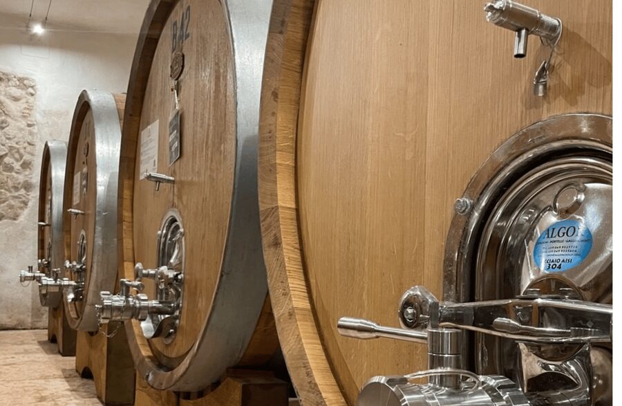 Boutique Winery Tour & Tasting in Valpolicella - Time, transportation, and the $69 value check