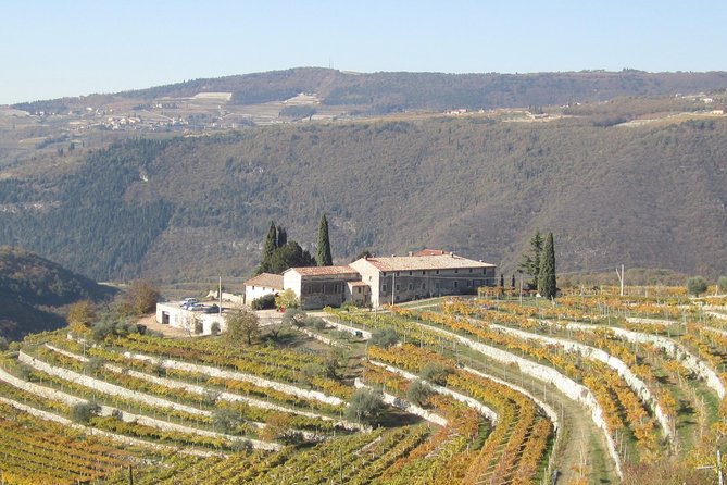 Champagne Experience at a Boutique Winery - Price and value at about $115.68 per person